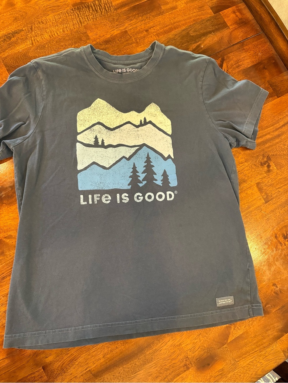Life is Good Men’s Navy Graphic T-Shirt - Mountain Design